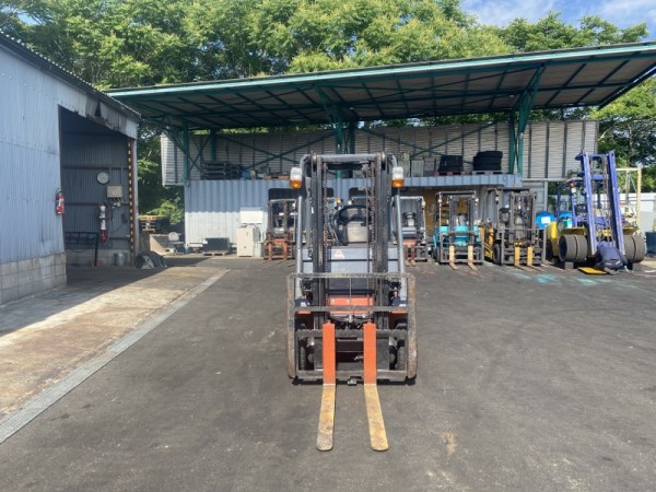 IMG_2909_800x600 IMG_2909_800x600