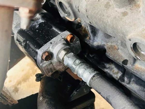 z5522417741863_98535b6740091f21ea97cb211333cad6 z5522417741863_98535b6740091f21ea97cb211333cad6